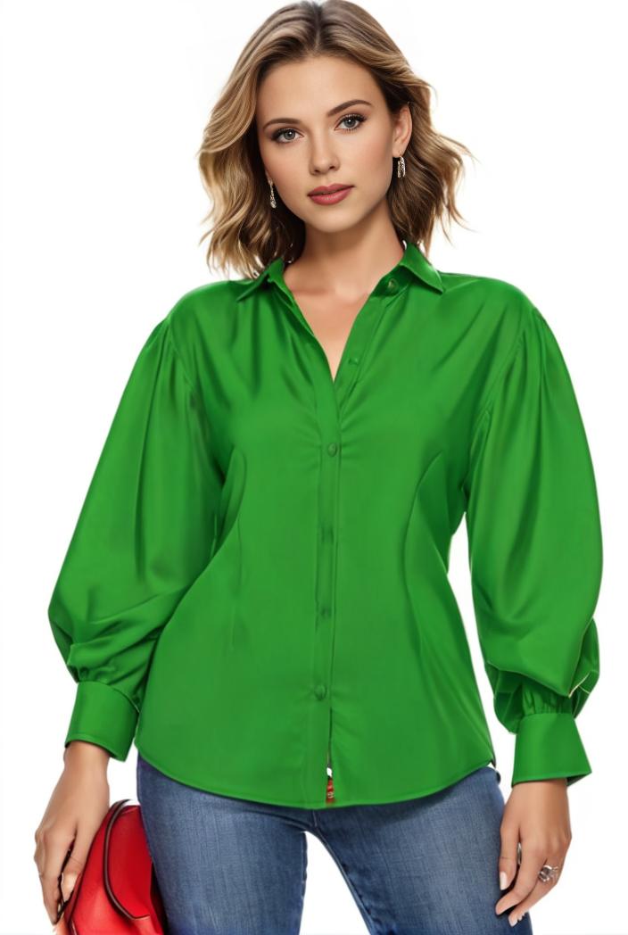 plus size casual blouse women s plus solid button up lantern sleeve turn down collar nipped waist blouse 113055