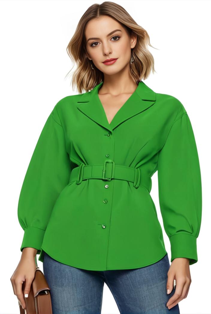 plus size casual blouse women s plus solid button up lantern sleeve turn down collar nipped waist blouse 101656