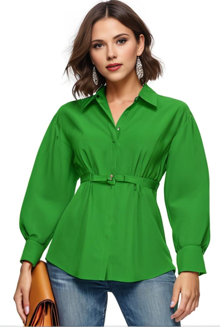 plus size casual blouse women s plus solid button up lantern sleeve turn down collar nipped waist blouse 113058