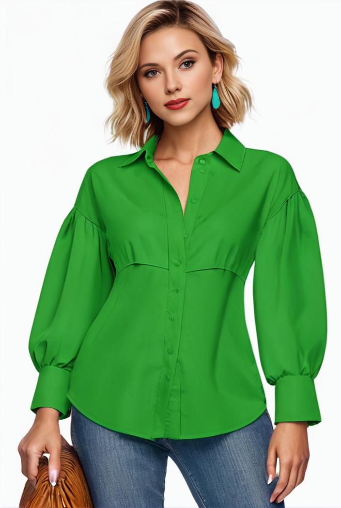 plus size casual blouse women s plus solid button up lantern sleeve turn down collar nipped waist blouse 113061