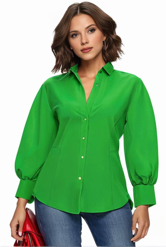 plus size casual blouse women s plus solid button up lantern sleeve turn down collar nipped waist blouse 131372