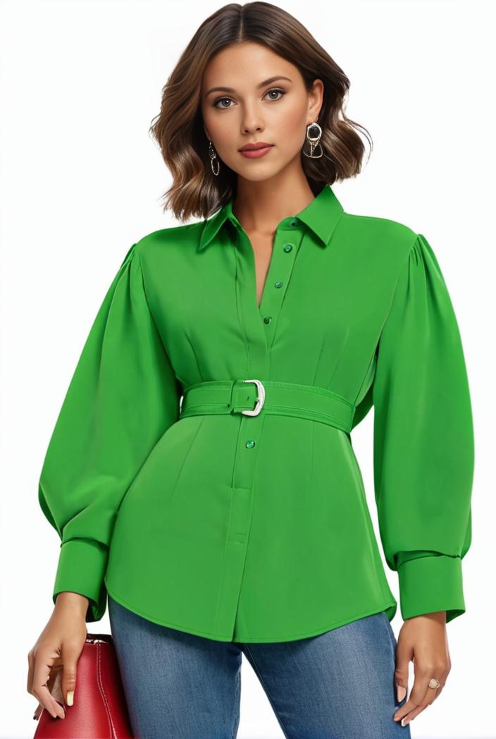 plus size casual blouse women s plus solid button up lantern sleeve turn down collar nipped waist blouse 131375