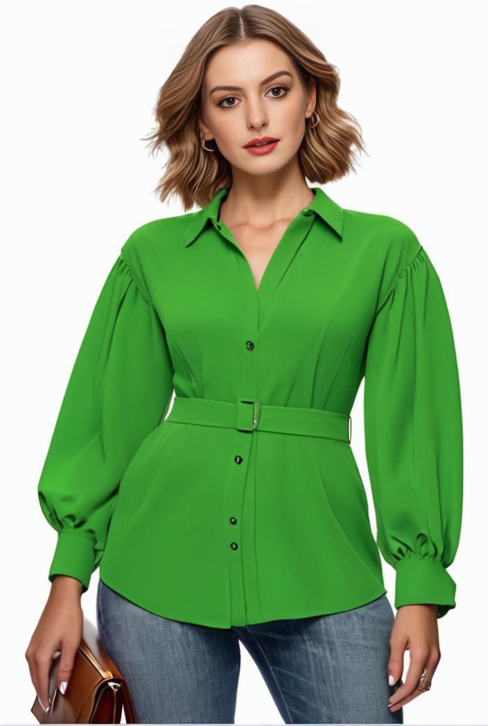 plus size casual blouse women s plus solid button up lantern sleeve turn down collar nipped waist blouse 147570