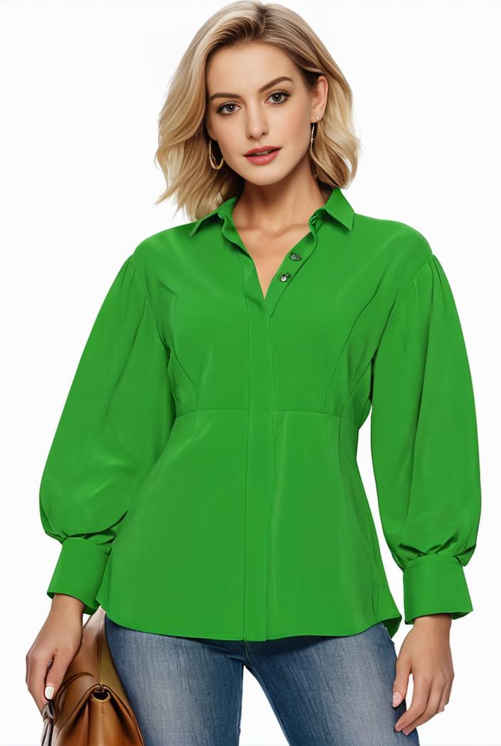 plus size casual blouse women s plus solid button up lantern sleeve turn down collar nipped waist blouse 134713